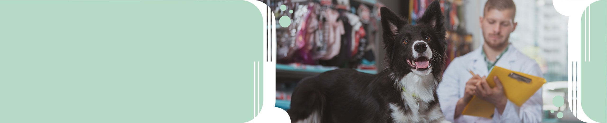 Tácticas de marketing para potenciar un Petshop
