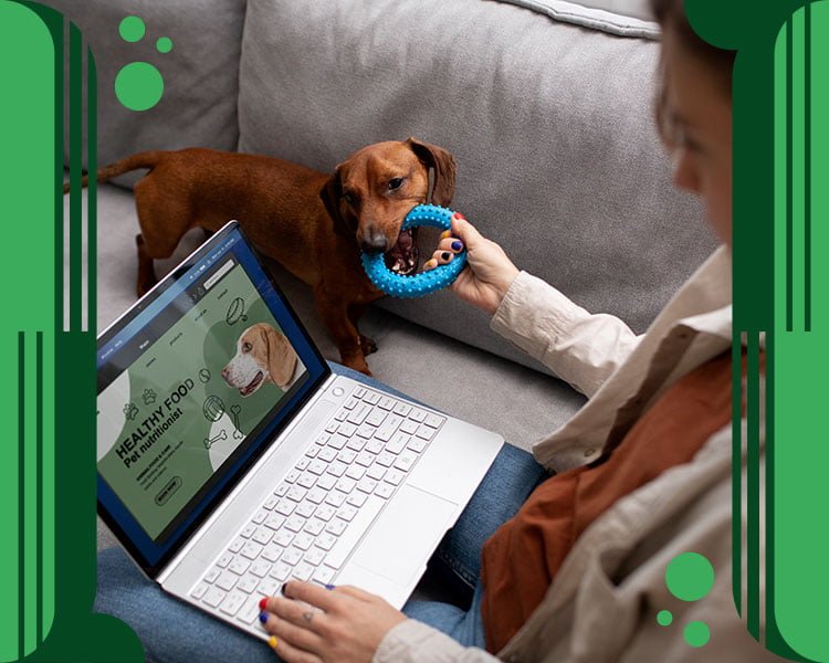 Impulsa tu Petshop: Revolución con Inteligencia Artificial