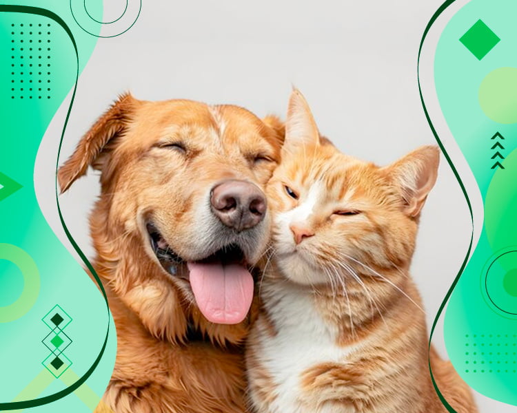 Plaisir: La elección inteligente para mascotas saludables