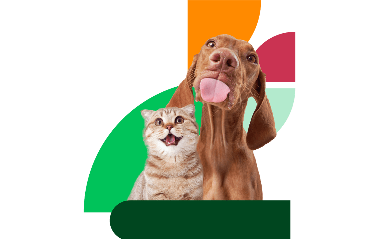 Misión ForzaVet